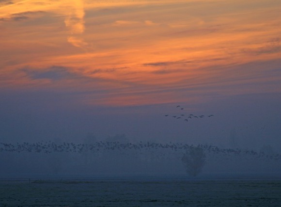 Zonsondergang